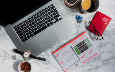 Accessibilité et ergomonie du e-voting