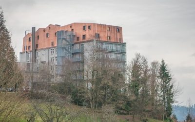 Le senior-lab à Sylvana